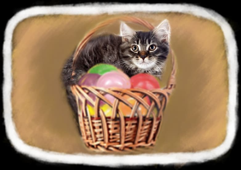 Оберіть товар і додайте до кошика