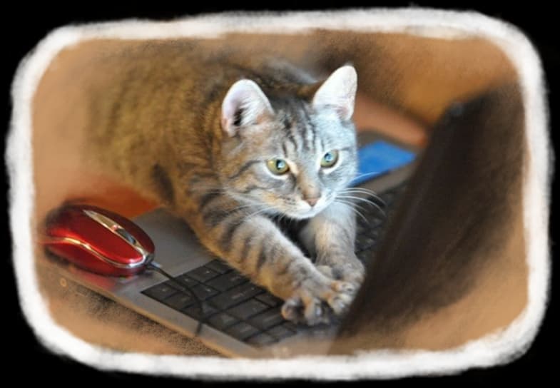 Заповніть інформацію для відправки