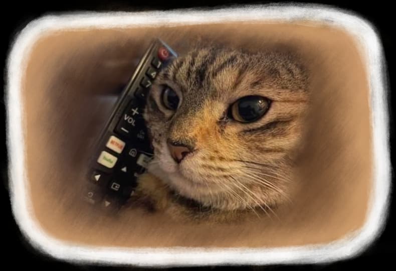 Дочекайтесь дзвінка, щоб узгодити оплату