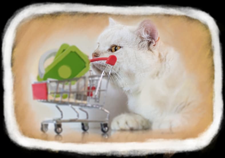 Оплатіть товар