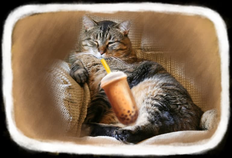 Насолоджуйтесь